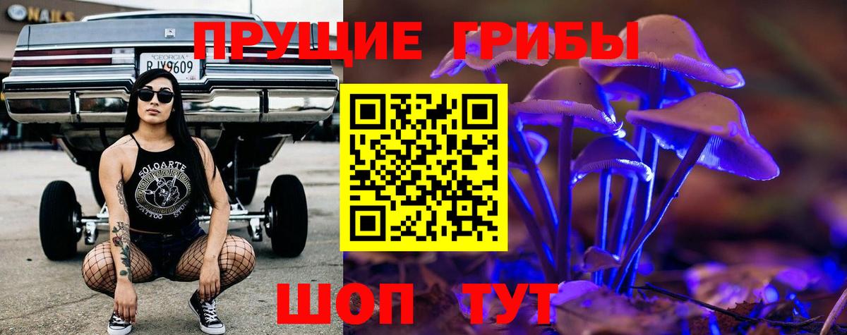 Псилоцибиновые грибы Magic Shrooms  Вход с VPN  Лыткарино  Псилоцибиновые грибы мухоморы 